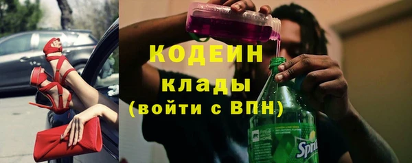 сатива Нягань