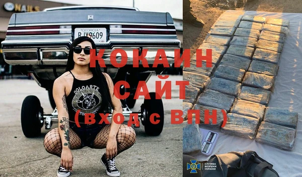 сатива Нягань