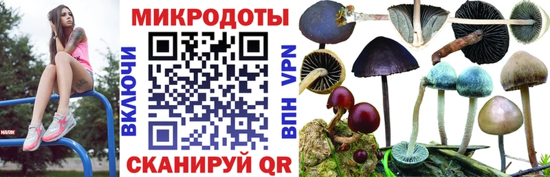 Псилоцибиновые грибы MAGIC MUSHROOMS  Энем 